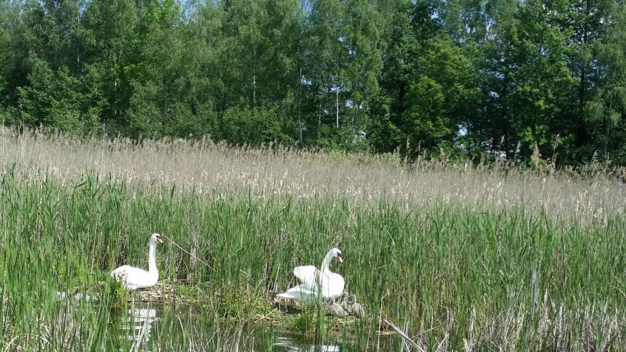 Domek Mazury - Jezioro Orzysz Buitenkant foto