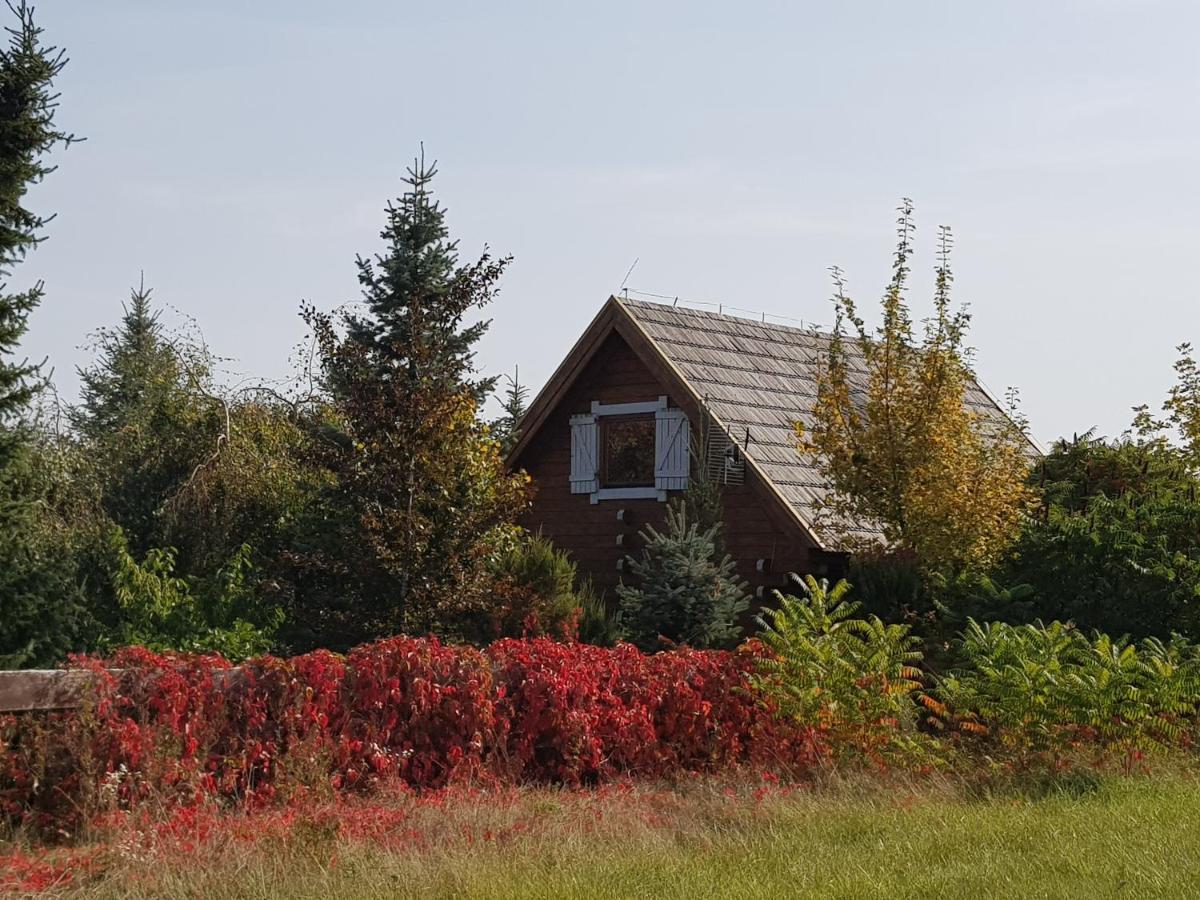 Domek Mazury - Jezioro Orzysz Buitenkant foto